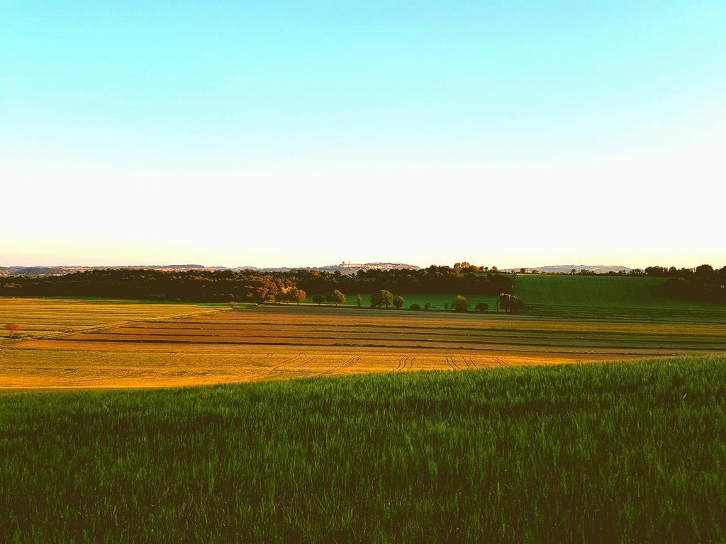 Agriturismo Hornos Numana Bagian luar foto